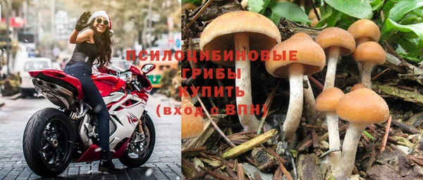 бошки Армянск