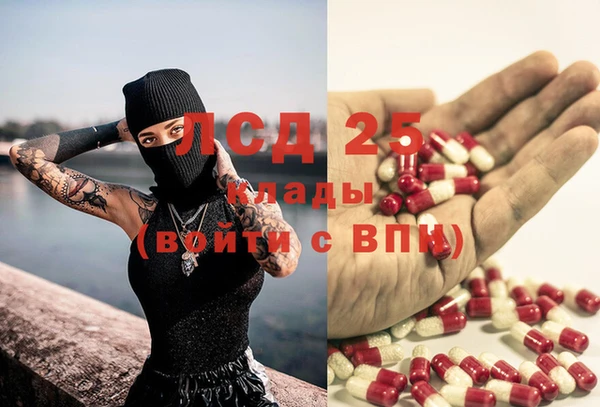 ешки Аркадак