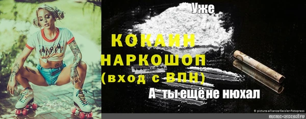 ешки Аркадак