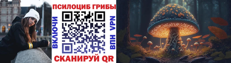 продажа наркотиков  Узловая  МЕГА маркетплейс  Псилоцибиновые грибы Psilocybe 